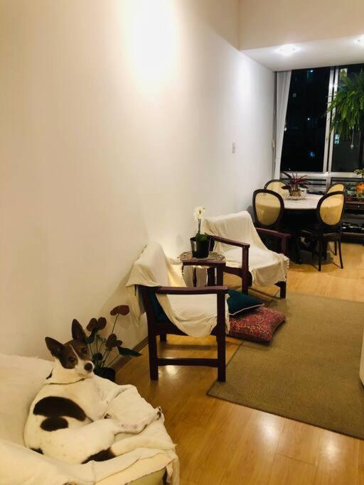 Apartamento Dois Quartos Aconchegantes Em Copacabana Rio de Janeiro